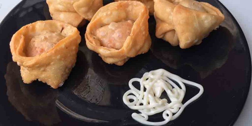 Chicken Wontons