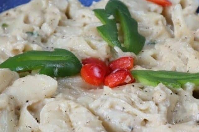alfredo pasta 2