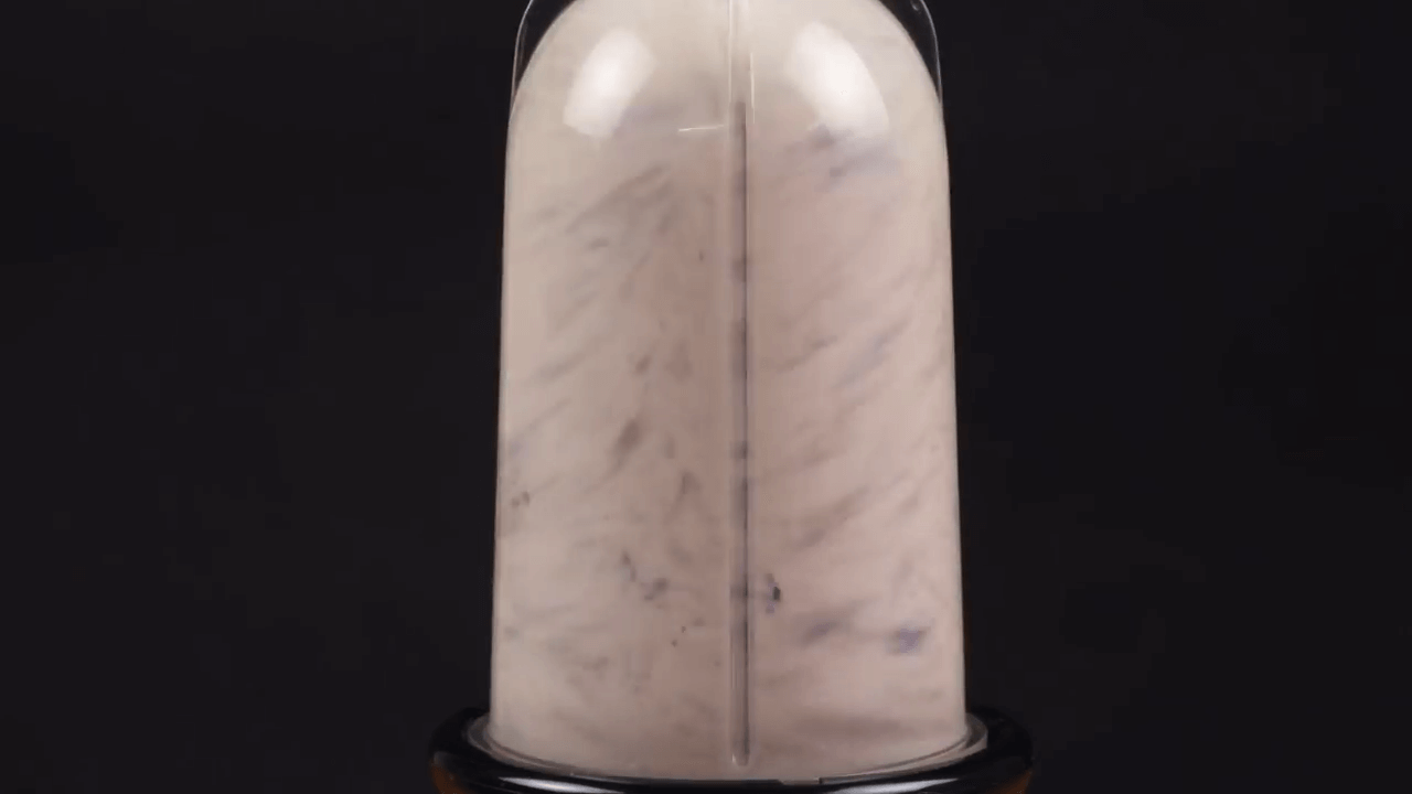 Raisins Milkshake step-2