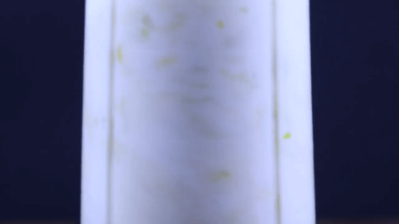 Star Fruit Juice step-2