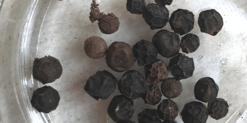 black pepper