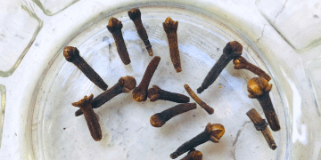 cloves