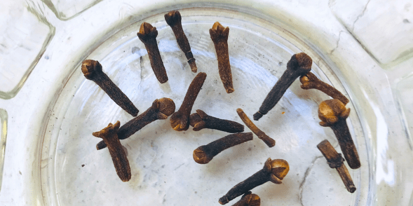 cloves