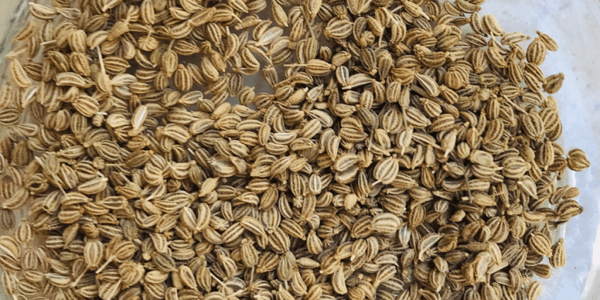 ajwain