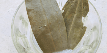 bay-leaf