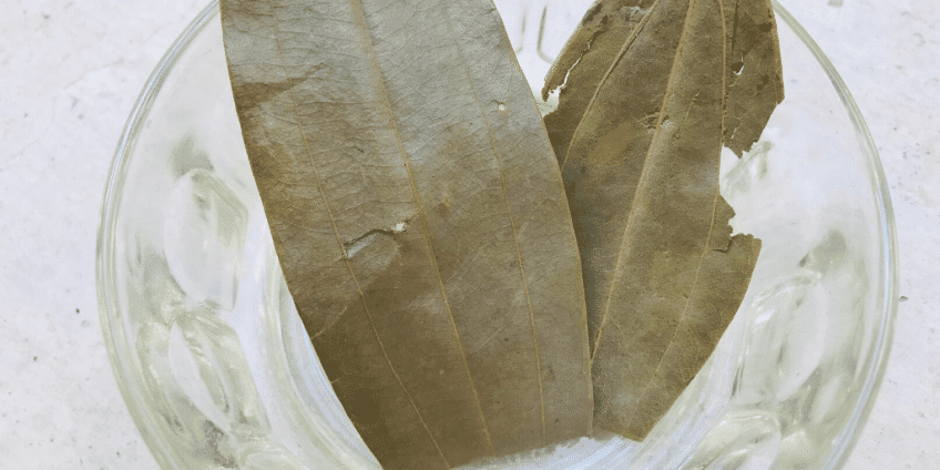 bay-leaf