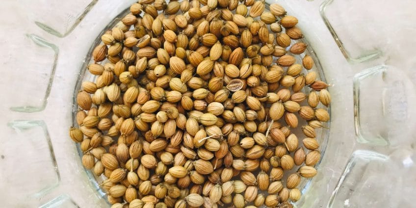 coriander seeds