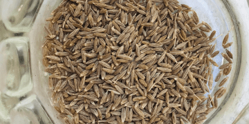 cumin-seeds