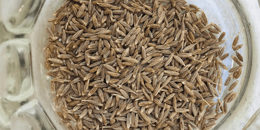 cumin-seeds