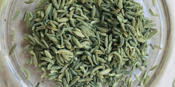fennel-seeds