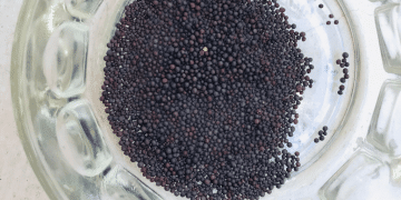 mustard-seeds