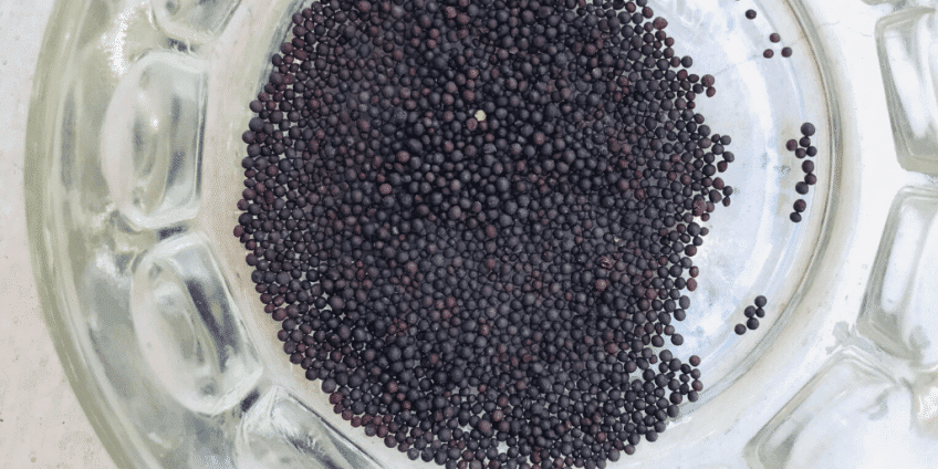 mustard-seeds