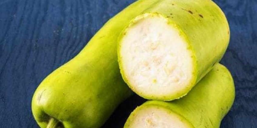 bottle gourd