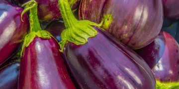 brinjal