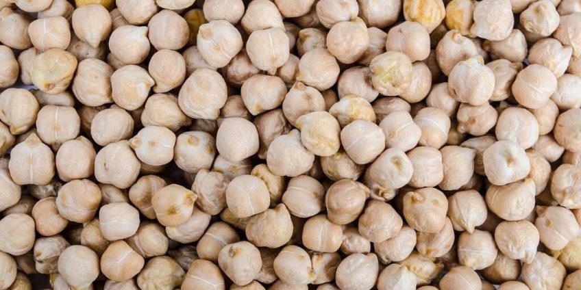 chickpea