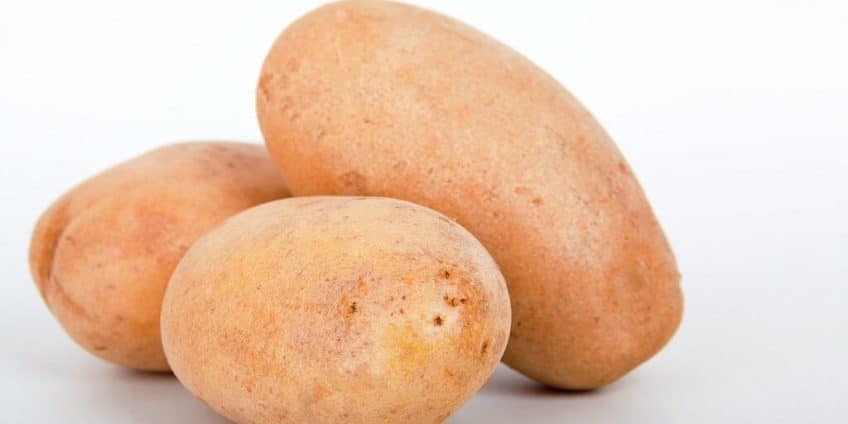Potato