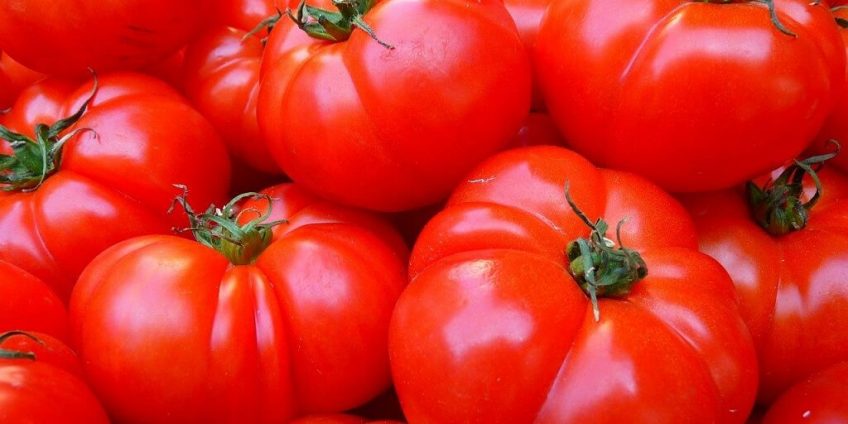 tomatoes