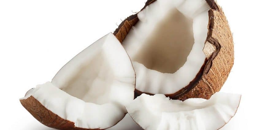 coconut