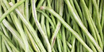 french-beans