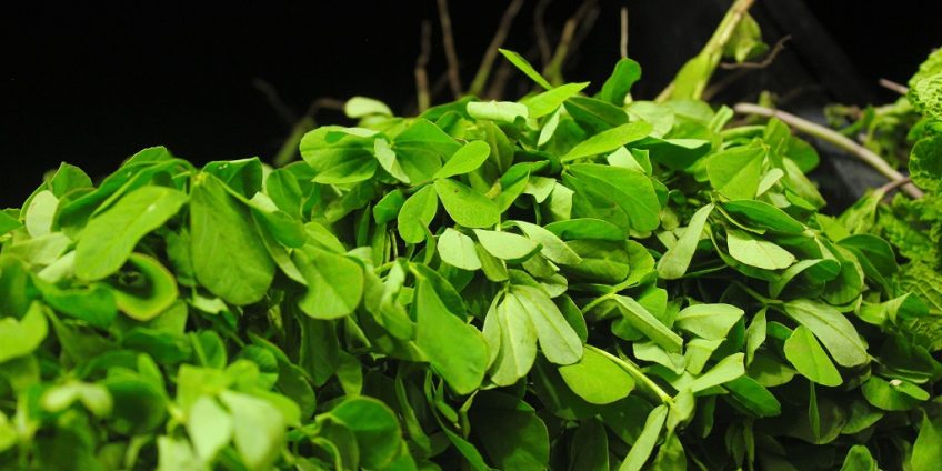 Fenugreek Leaves