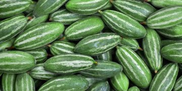 Pointed Gourd