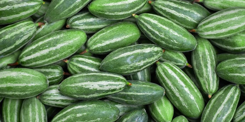 Pointed Gourd
