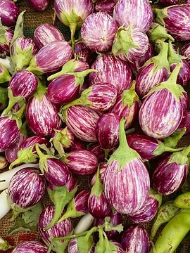 brinjal variety to make baingan masala