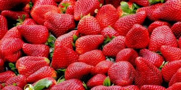 strawberry