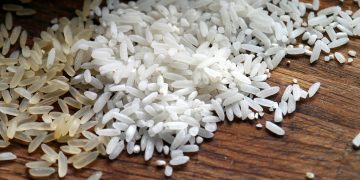 Rice