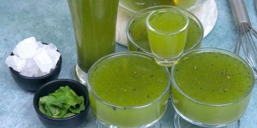 Mint Nimbu Pani