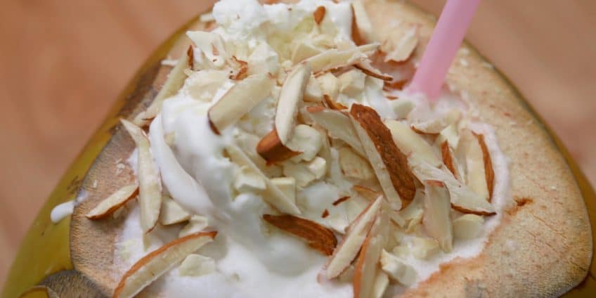 Coconut Milkshake