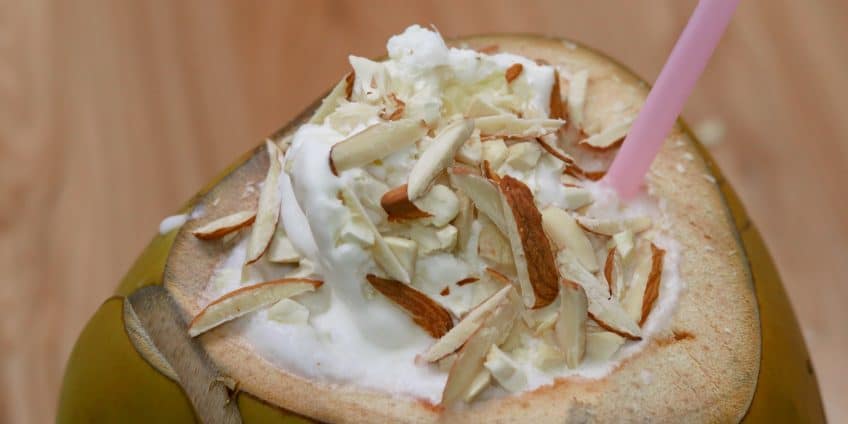 Coconut Milkshake