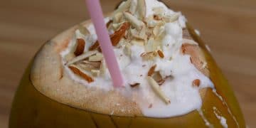 Coconut Milkshake