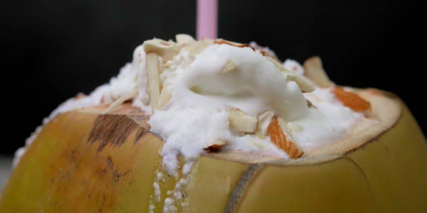 Coconut Milkshake