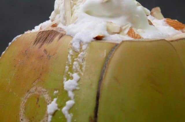 Coconut Milkshake